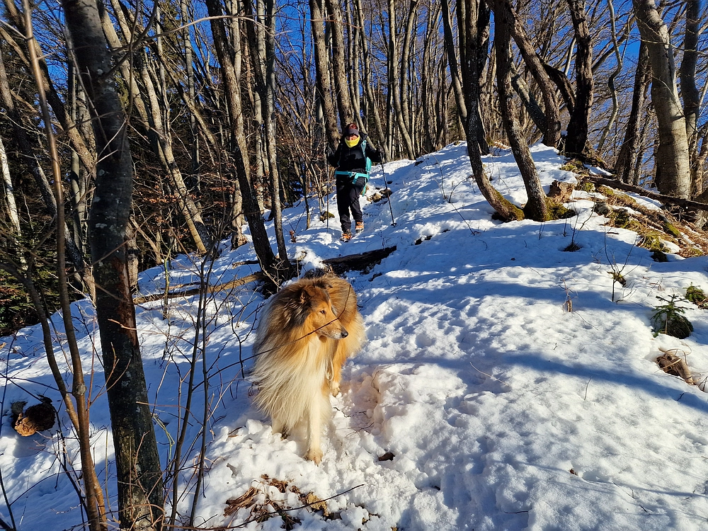 Reška planina, 31. 12. 2025