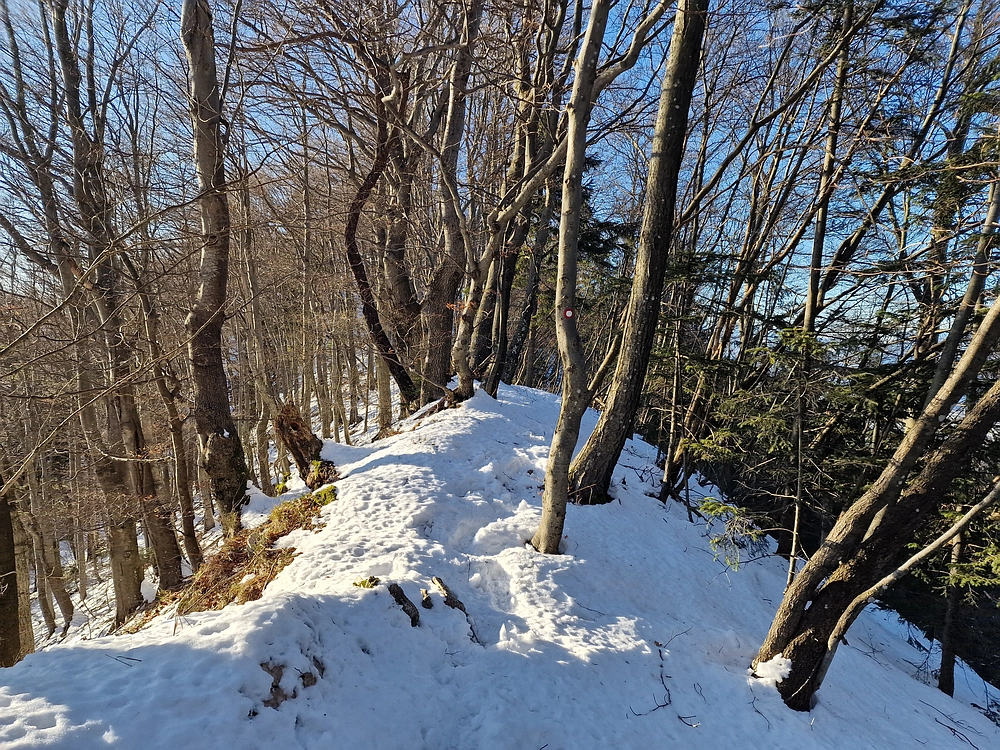 Reška planina, 31. 12. 2025