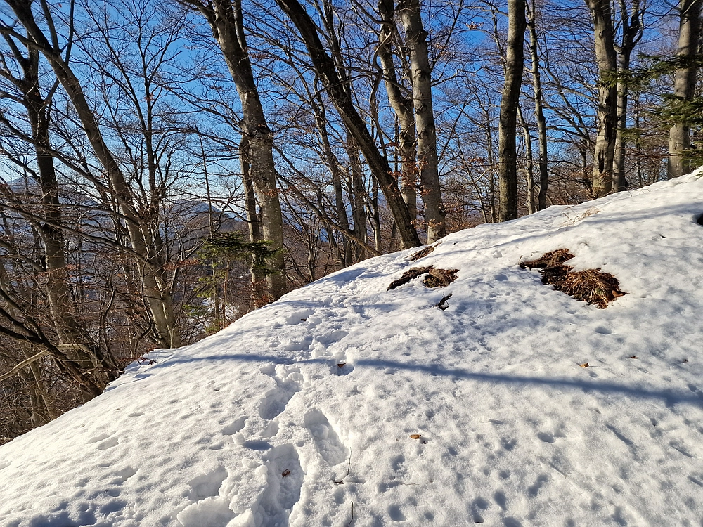 Reška planina, 31. 12. 2025