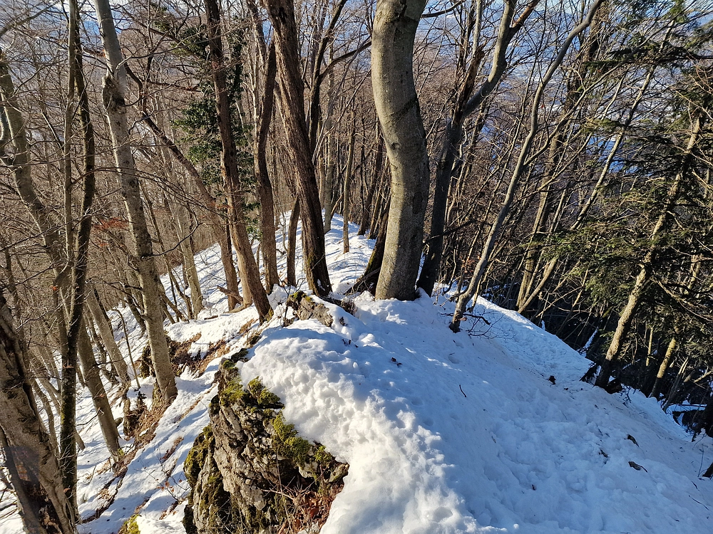 Reška planina, 31. 12. 2025