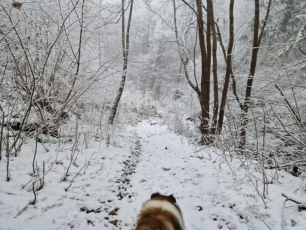 Stolpnik, 3. 1. 2026