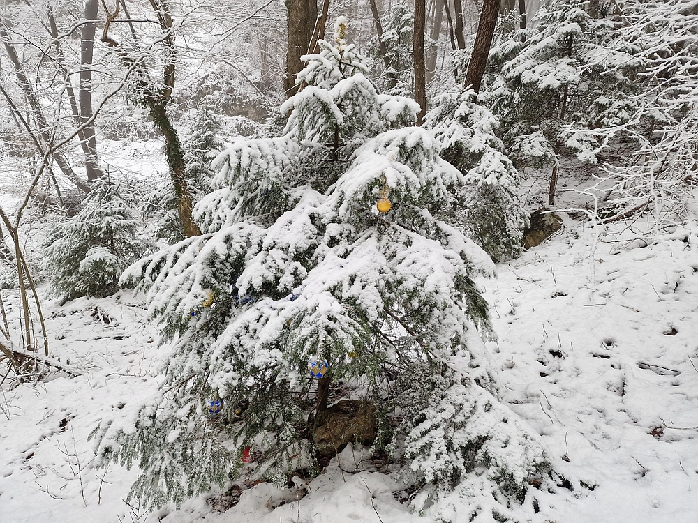 Stolpnik, 3. 1. 2026