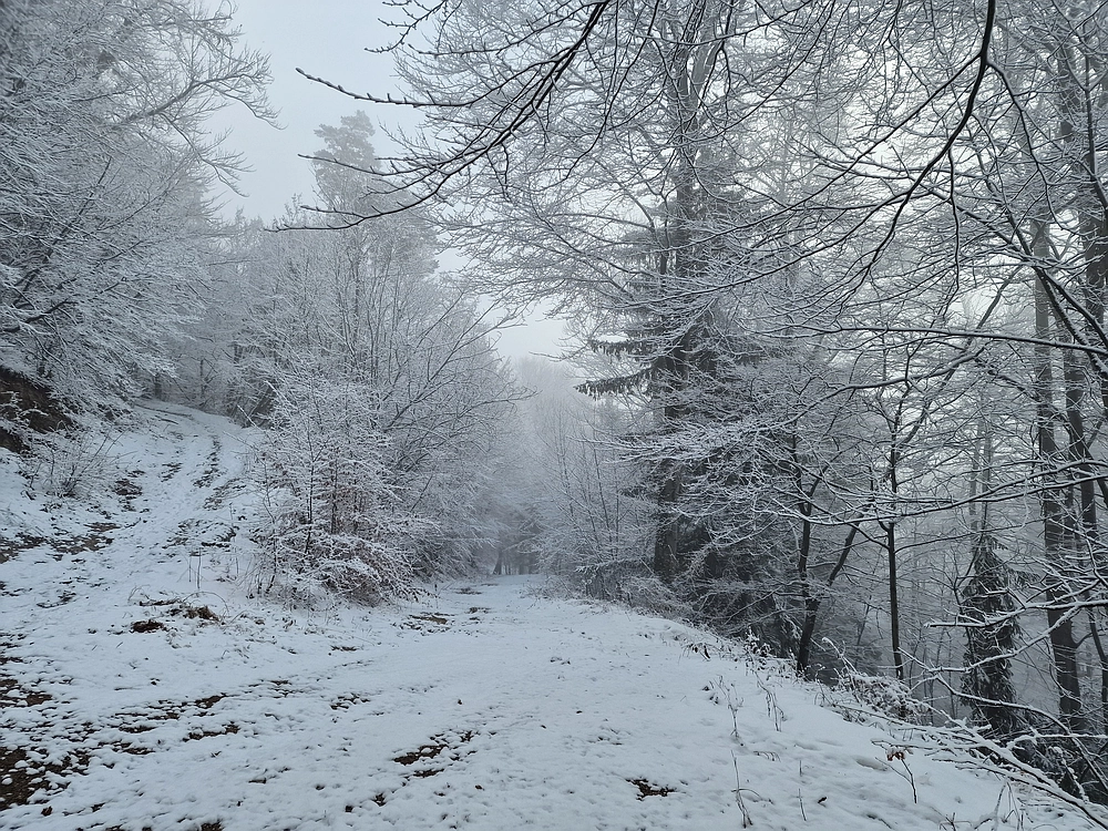 Stolpnik, 3. 1. 2026