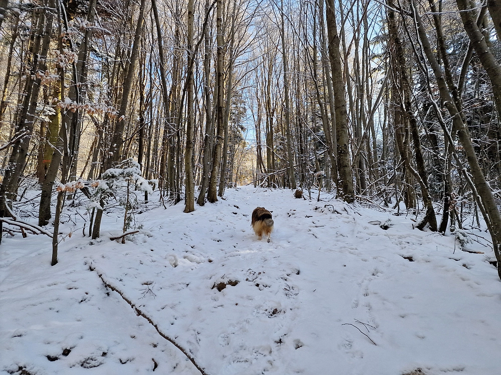 Stolpnik, 3. 1. 2026