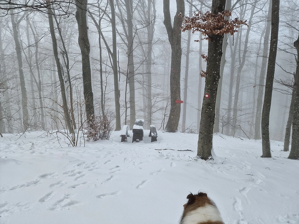 Stolpnik, 3. 1. 2026