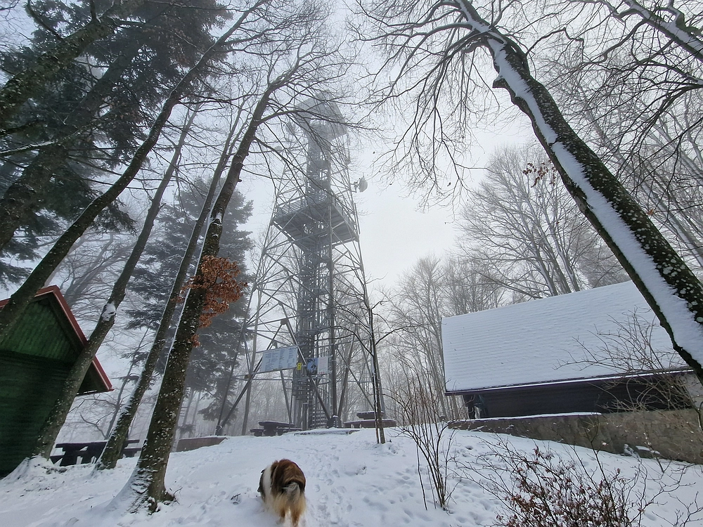 Stolpnik, 3. 1. 2026