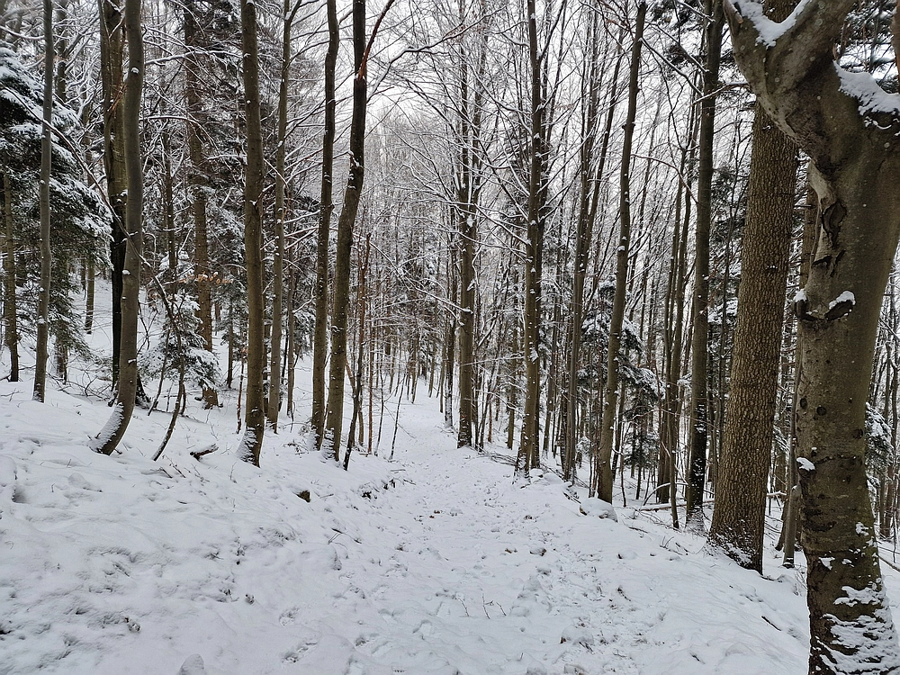 Stolpnik, 3. 1. 2026