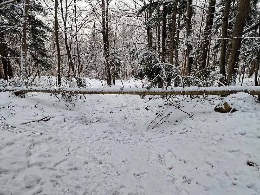 Stolpnik, 3. 1. 2026