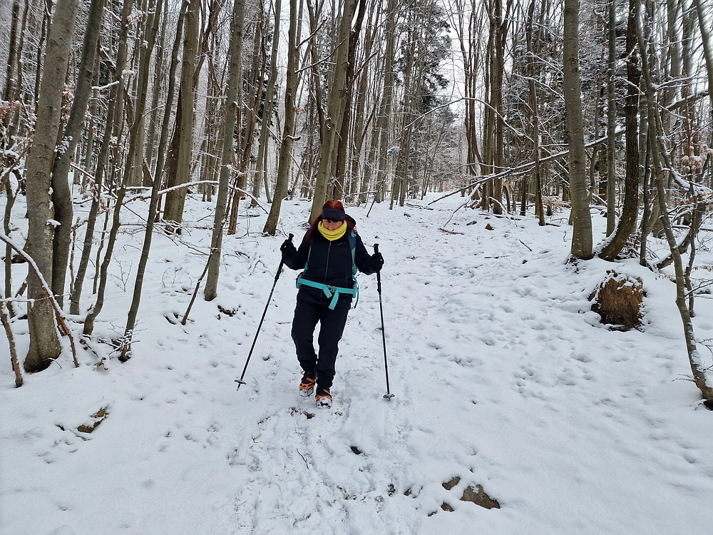 Stolpnik, 3. 1. 2026