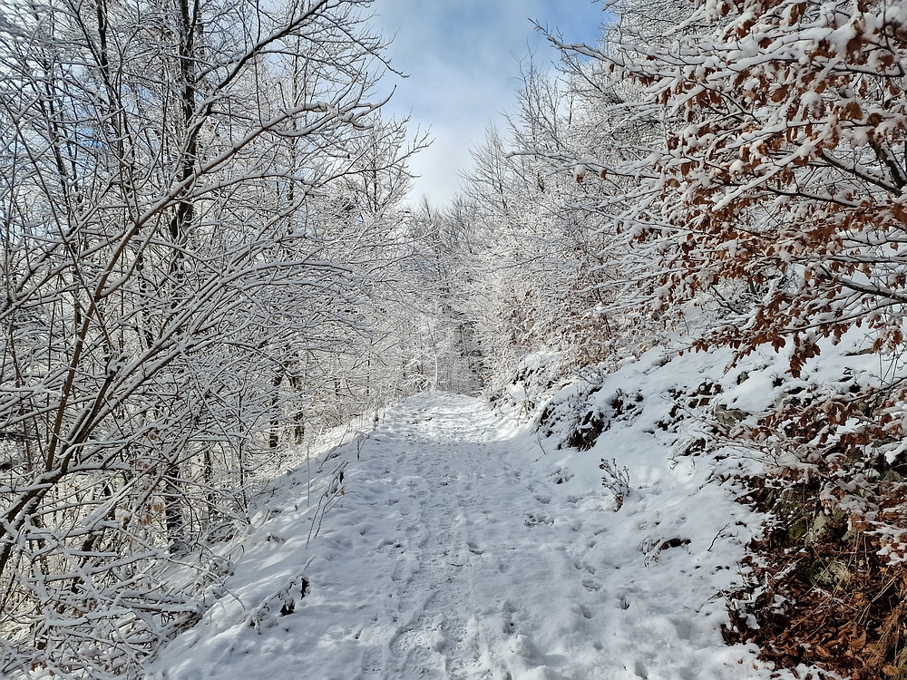 Stolpnik, 3. 1. 2026