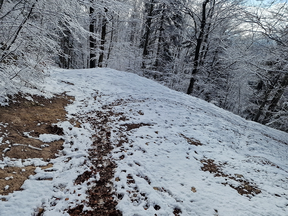 Stolpnik, 3. 1. 2026