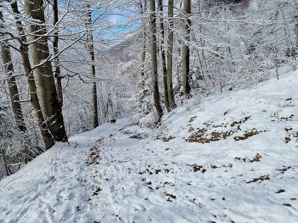 Stolpnik, 3. 1. 2026