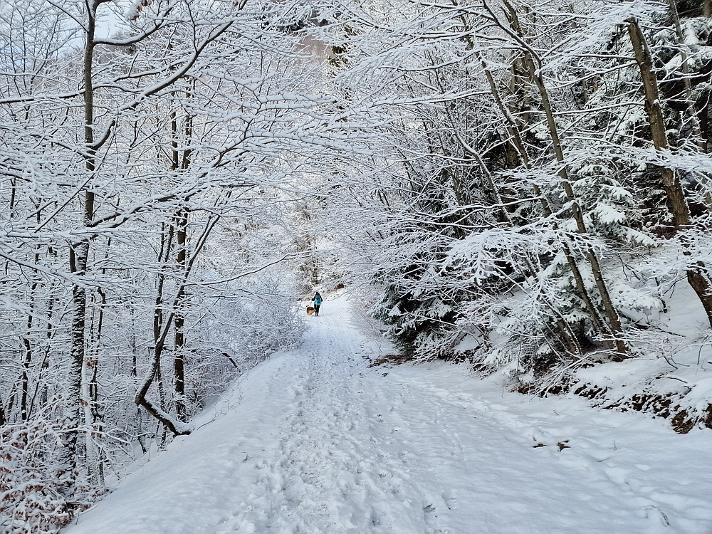 Stolpnik, 3. 1. 2026