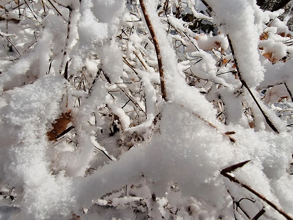 Stolpnik, 3. 1. 2026