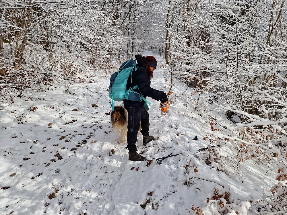 Stolpnik, 3. 1. 2026