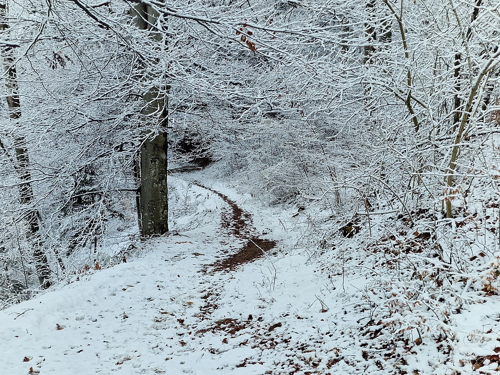 Stolpnik, 3. 1. 2026