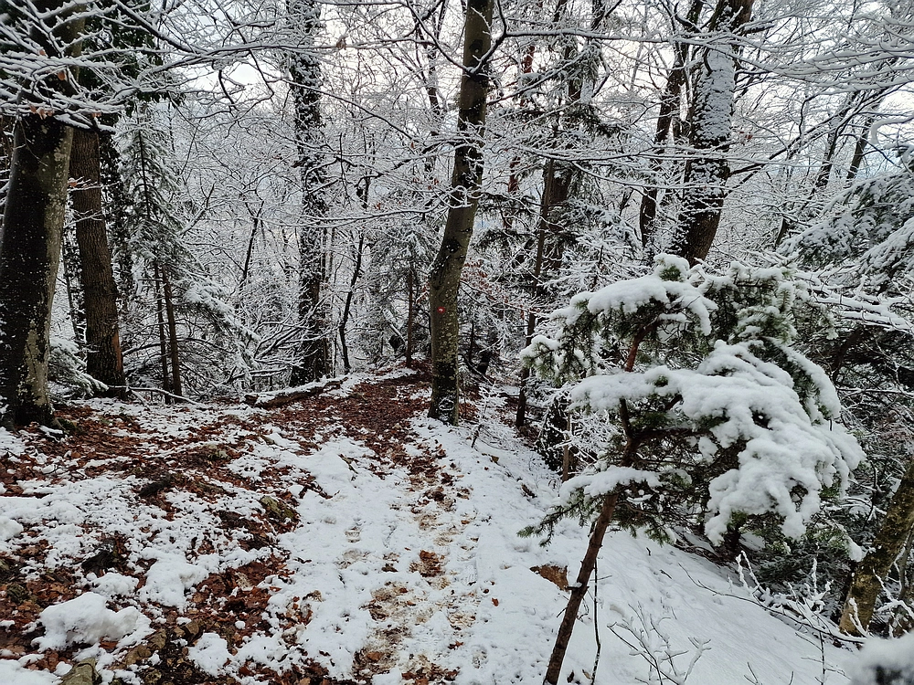 Stolpnik, 3. 1. 2026