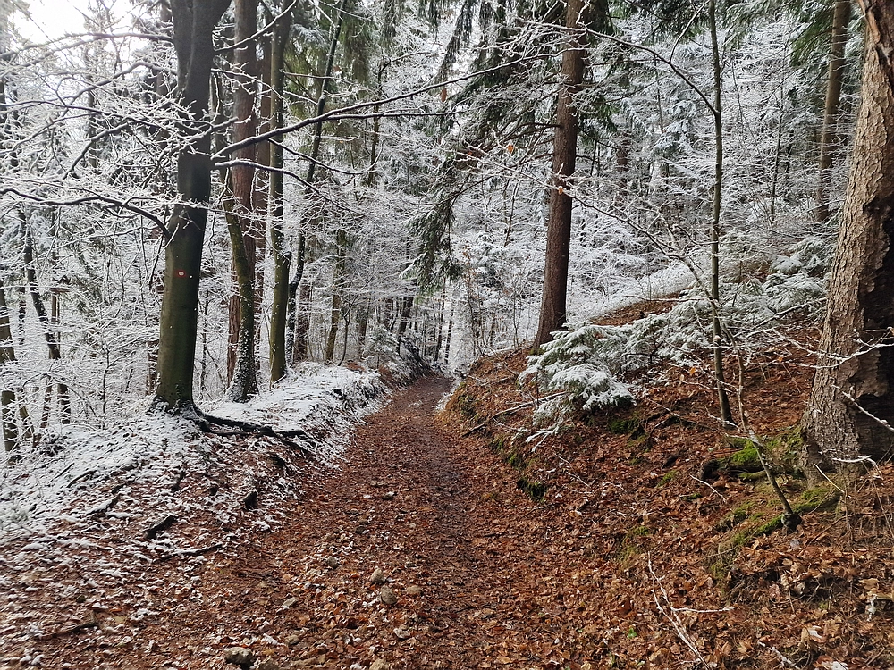 Stolpnik, 3. 1. 2026