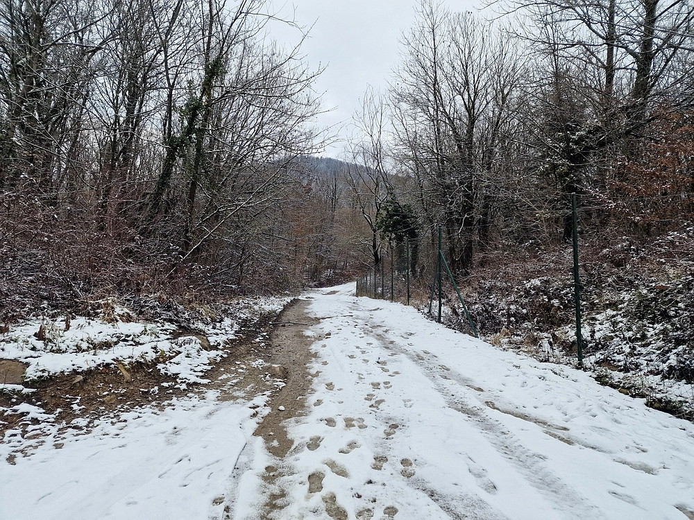 Žrebljev hrib, 4. 1. 2026