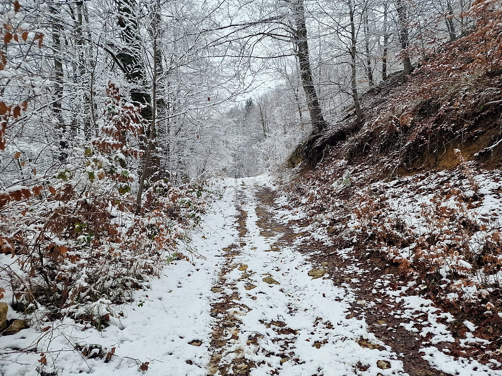 Žrebljev hrib, 4. 1. 2026