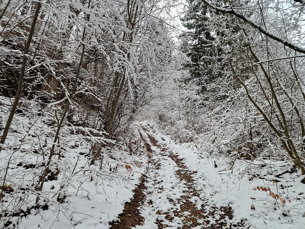 Žrebljev hrib, 4. 1. 2026