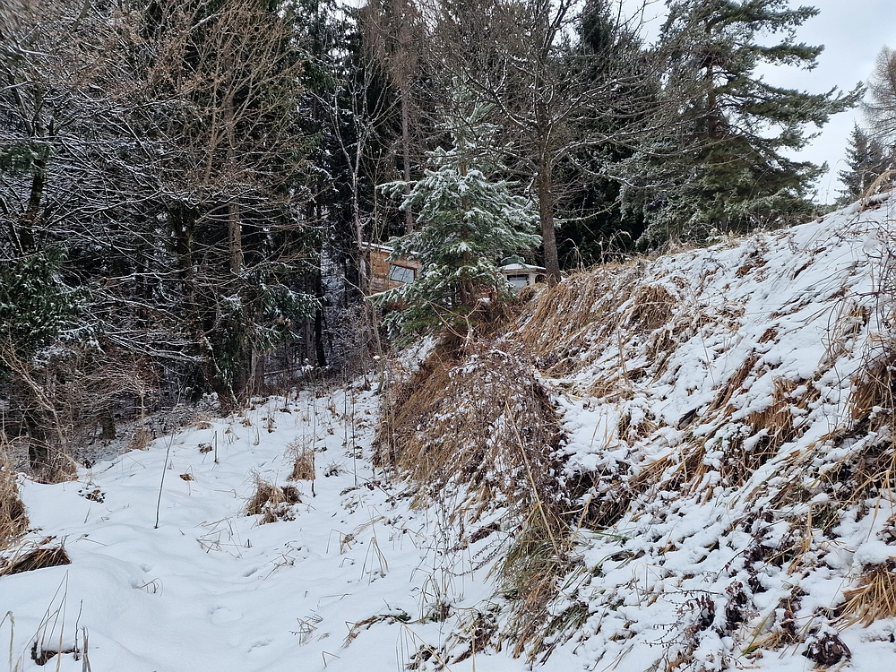 Žrebljev hrib, 4. 1. 2026