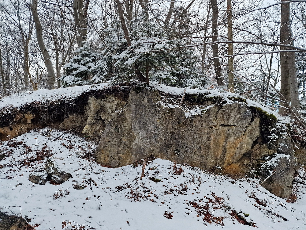 Žrebljev hrib, 4. 1. 2026