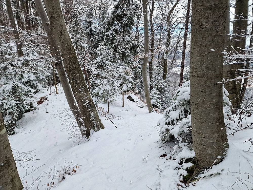 Žrebljev hrib, 4. 1. 2026