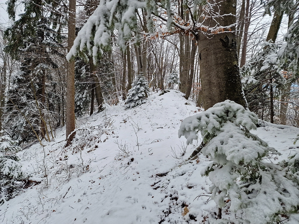 Žrebljev hrib, 4. 1. 2026