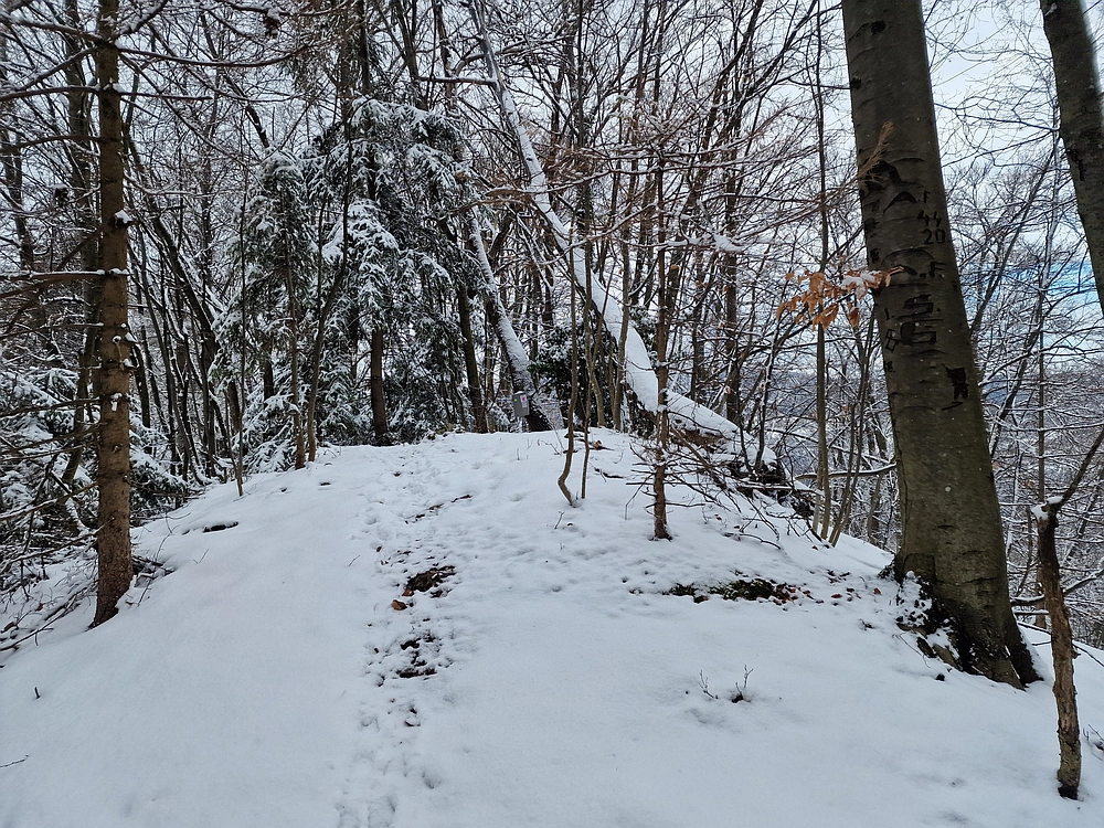 Žrebljev hrib, 4. 1. 2026