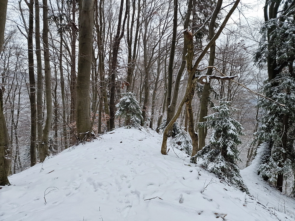 Žrebljev hrib, 4. 1. 2026