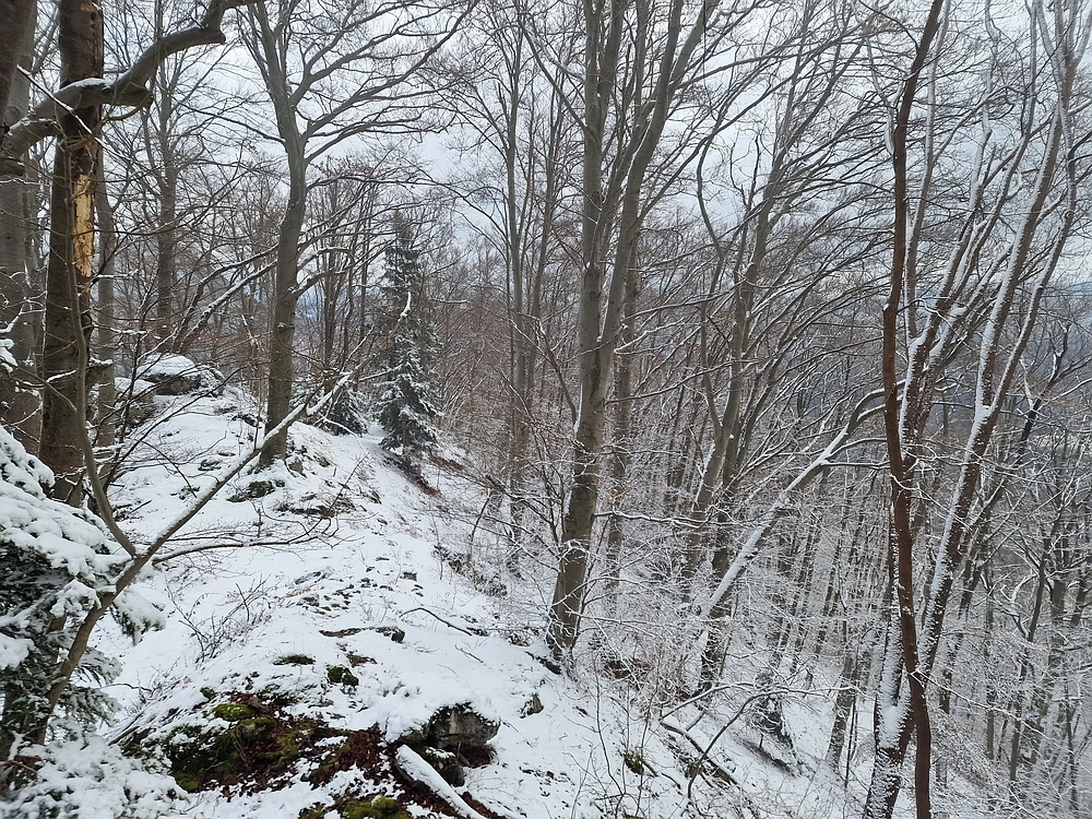 Žrebljev hrib, 4. 1. 2026