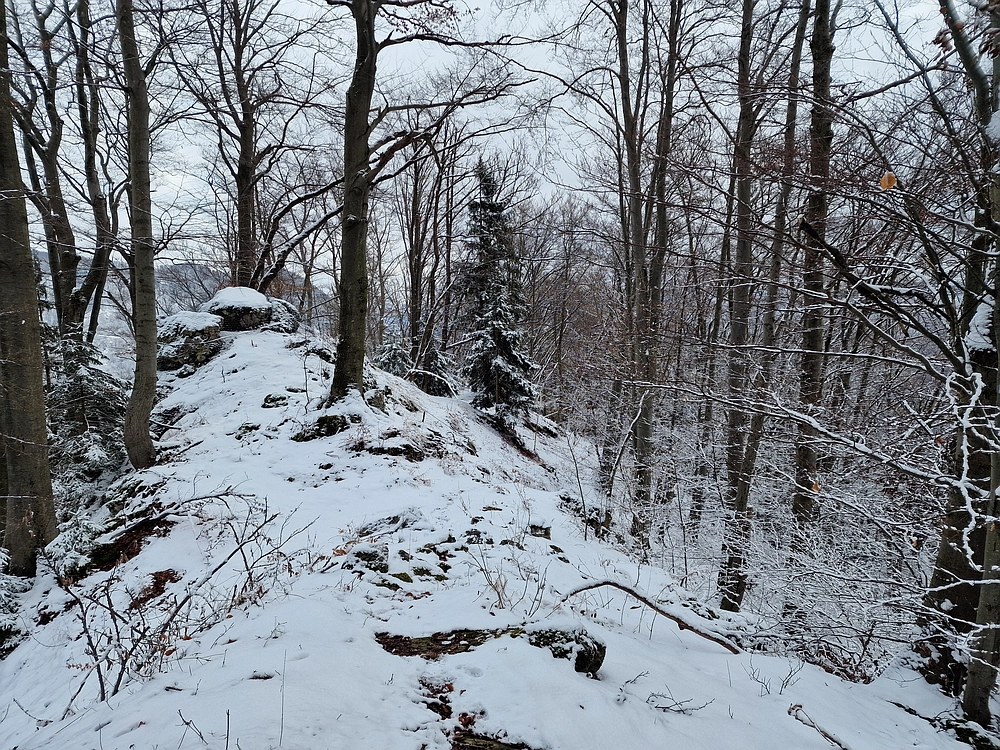 Žrebljev hrib, 4. 1. 2026