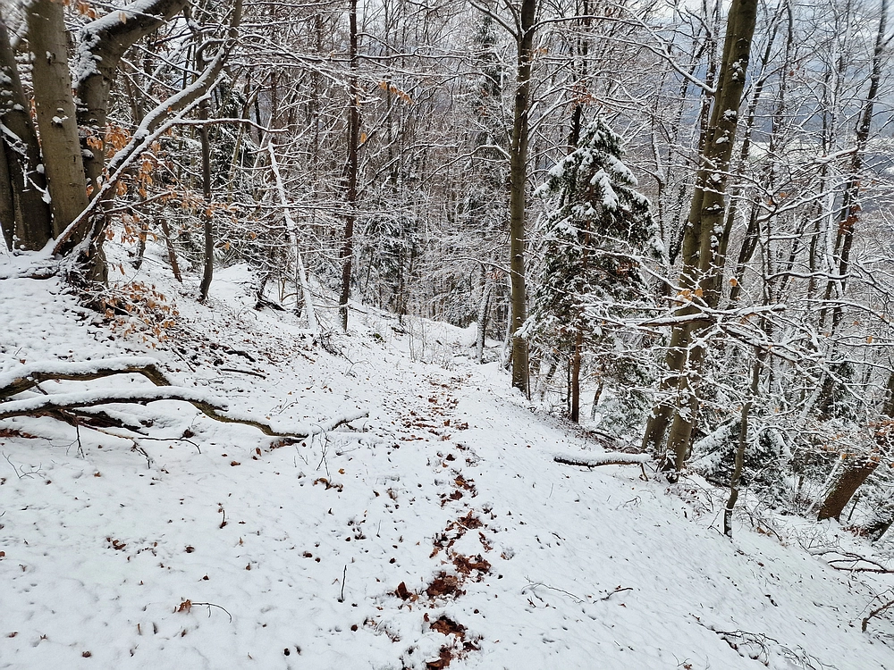 Žrebljev hrib, 4. 1. 2026