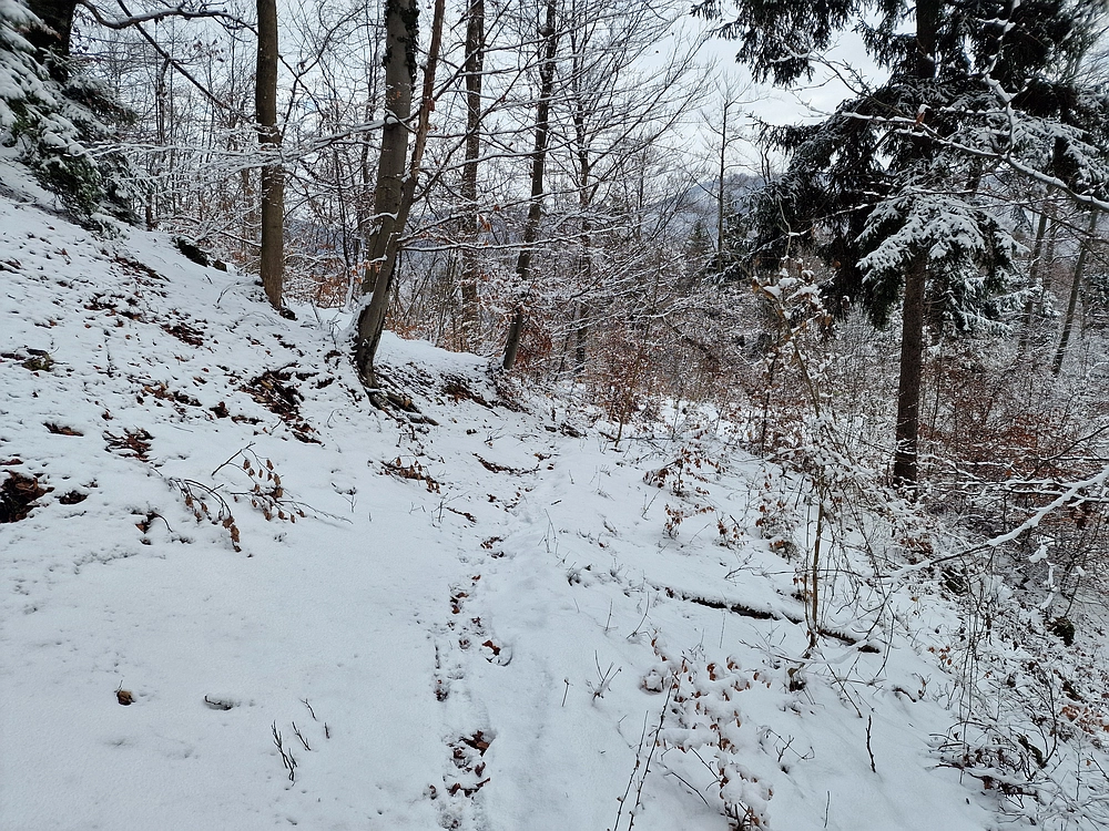 Žrebljev hrib, 4. 1. 2026