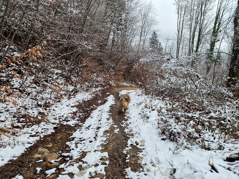 Žrebljev hrib, 4. 1. 2026