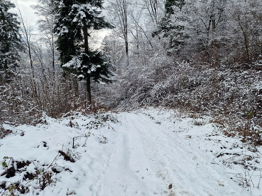 Žrebljev hrib, 4. 1. 2026