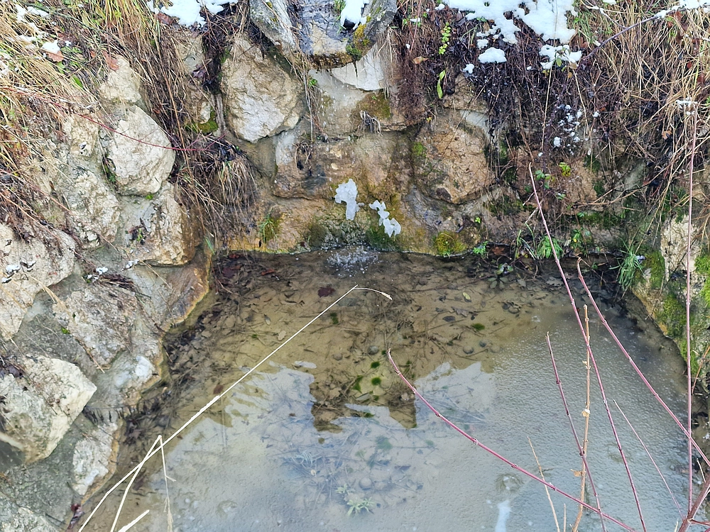 Žrebljev hrib, 4. 1. 2026