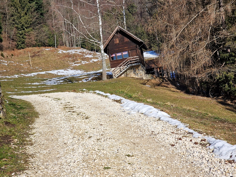 Javor, Sv. Planina, 18. 1. 2026