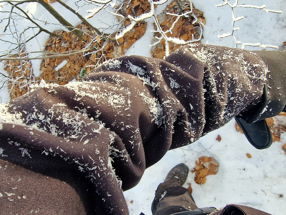 Javor, Sv. Planina, 18. 1. 2026