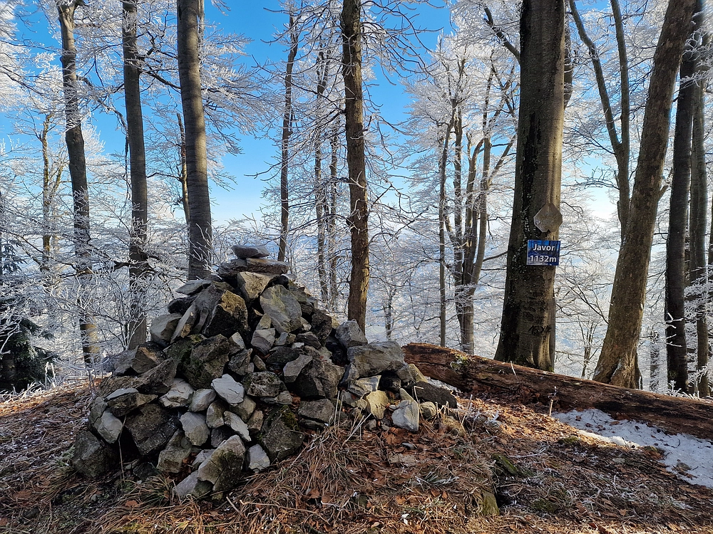Javor, Sv. Planina, 18. 1. 2026
