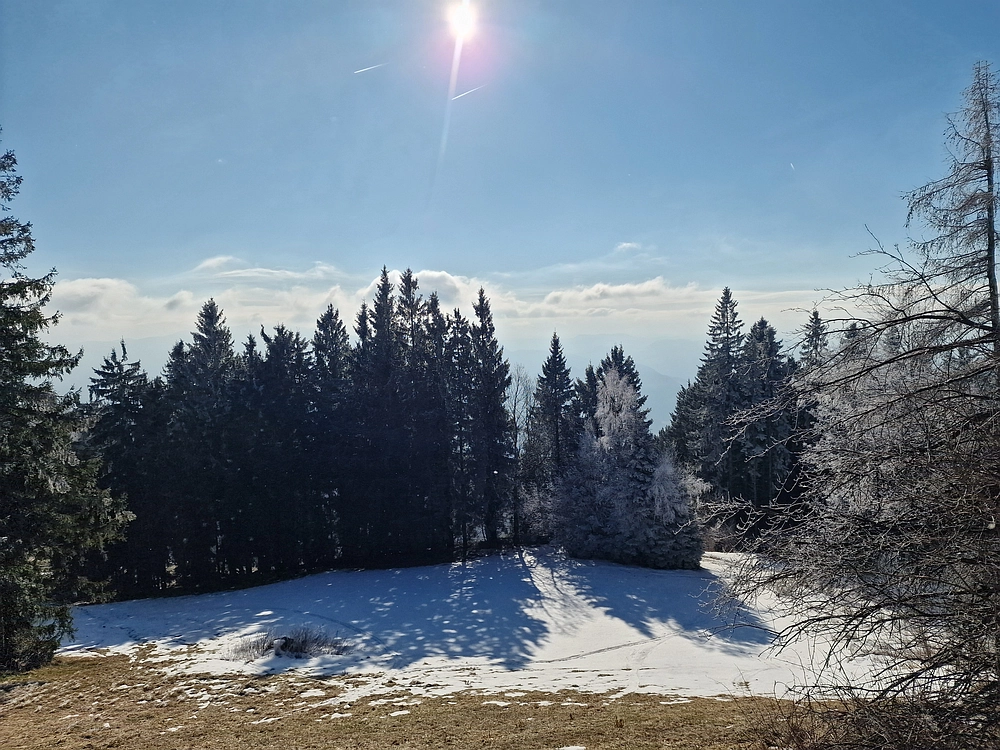 Javor, Sv. Planina, 18. 1. 2026