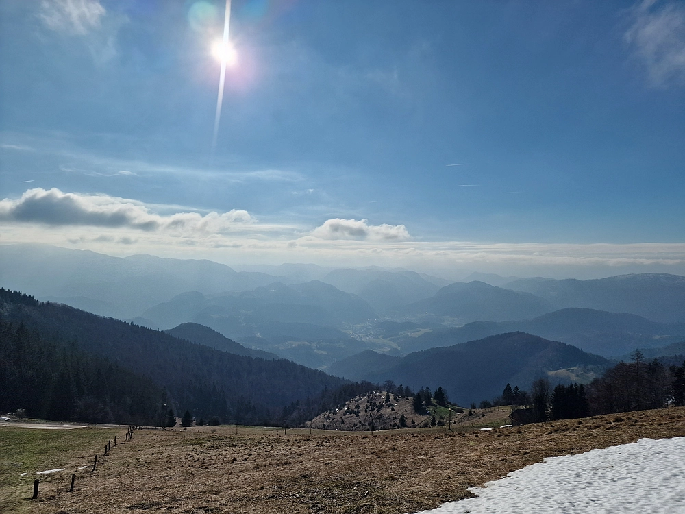 Javor, Sv. Planina, 18. 1. 2026