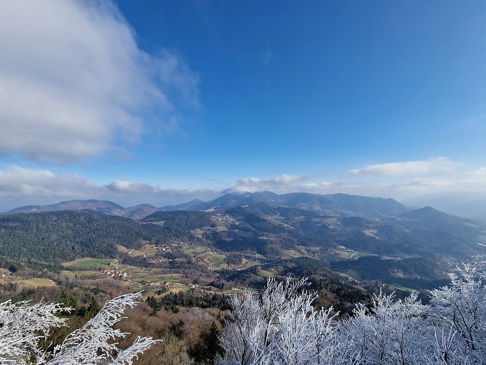 Javor, Sv. Planina, 18. 1. 2026