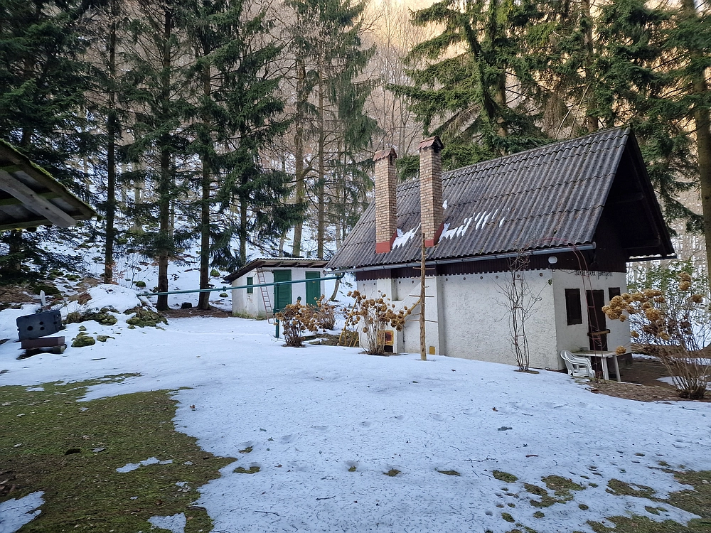 Javor, Sv. Planina, 18. 1. 2026