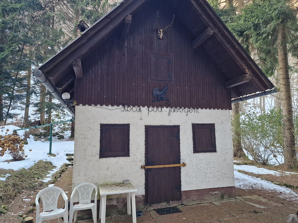 Javor, Sv. Planina, 18. 1. 2026