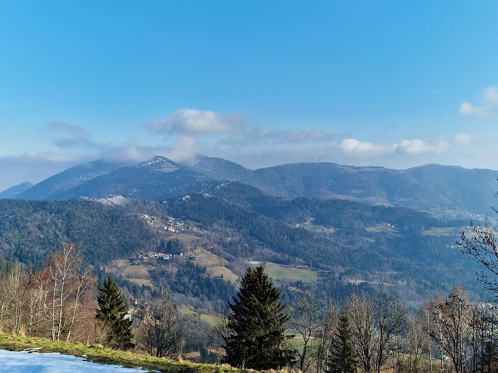 Javor, Sv. Planina, 18. 1. 2026