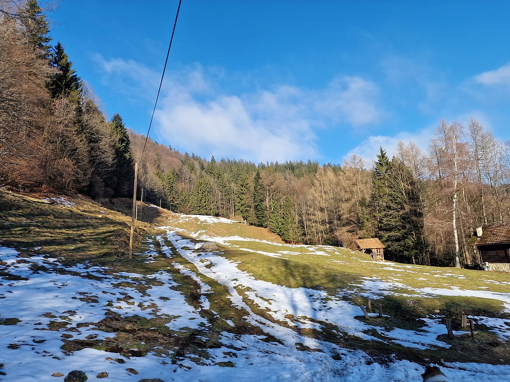 Javor, Sv. Planina, 18. 1. 2026