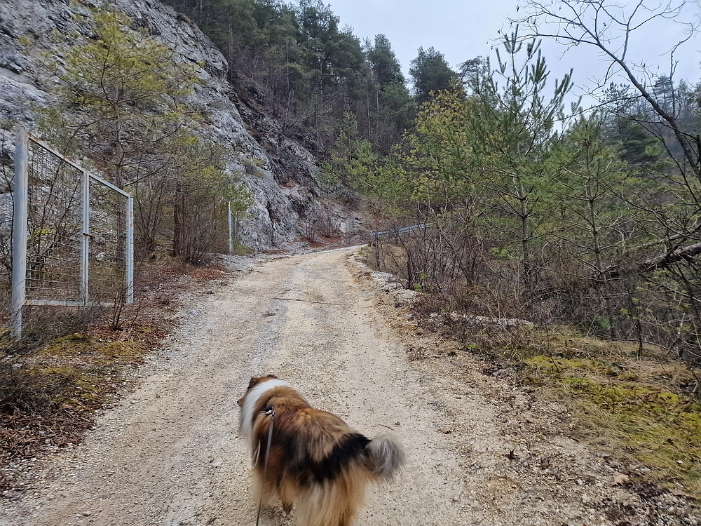 Špicberg, 31. 1. 2026