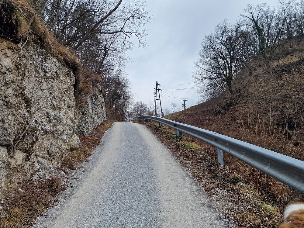 Špicberg, 31. 1. 2026